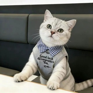 [Hàng cho thú cưng dễ thương] Quần áo cho mèo Dễ thương Thời trang đẹp trai Phong cách mỏng Quần áo thú cưng thoáng khí