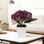 Cây nhân tạo bóng Hydrangea có bề mặt kết cấu để trang trí tiệc tại nhà và ngoài trời