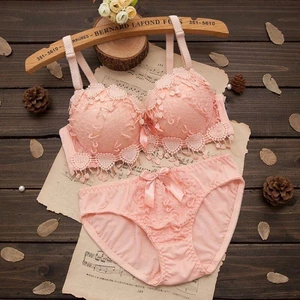 Ren Bộ Áo Ngực Nhỏ Đẩy Lên Quần Lót Nữ Ngực Rút Lại Có Thể Điều Chỉnh Push-Up Làm Dày Áo Ngực