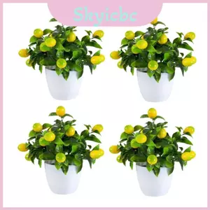 Cây chanh nhân tạo có độ ẩm Handfeel cho quà tặng trưng bày văn phòng và