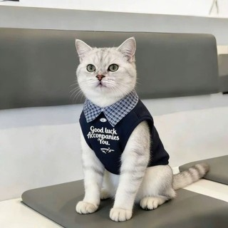 [Hàng cho thú cưng dễ thương] Quần áo cho mèo Dễ thương Thời trang đẹp trai Phong cách mỏng Quần áo thú cưng thoáng khí