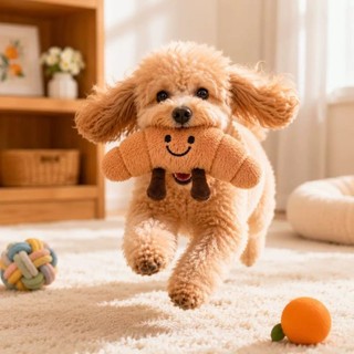 [Hàng cho thú cưng dễ thương] Đồ chơi âm thanh sang trọng Cat Melon Búp bê thú cưng