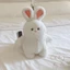 Búp bê gấu dễ thương Búp bê thỏ Ba lô búp bê Ba lô đồ chơi sang trọng Quà tặng quà tặng sinh nhậ