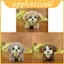 Đồ chơi sang trọng Chó Husky Động vật nhồi bông mềm dễ thương cho trẻ em và người sưu tập