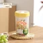 Hộp đựng hiện đại Snack Pp có thiết kế chống rò rỉ cho học sinh và học sinh