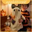 Trang trí Halloween ma và hình bí ngô sang trọng với bông Pp cho chủ đề phòng trẻ em Halloween