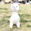 Động vật đầy màu sắc Alpaca sang trọng có khung cho trẻ em Quà tặng và