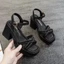 Gót Dày La Mã Giày Sandal Nữ Mùa Hè Mới Thời Trang Tăng Chiều Cao Nữ Chống Thấm Nước Nền Tảng Nê