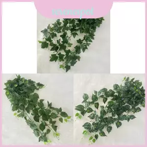 Cây xanh treo tường với cây thường xuân xanh 9fork để trang trí đám cưới Chụp ảnh và đạo cụ