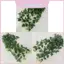 Cây xanh treo tường với cây thường xuân xanh 9fork để trang trí đám cưới Chụp ảnh và đạo cụ