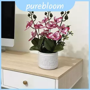 Hoa Bướm Giả Phong Lan Có Đế Cho Đám Cưới Nhà Cửa Và Trang Trí Nội Thất Nhà Hàng