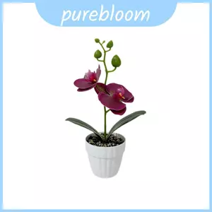 Cây lan giả hình bướm với chất liệu nhựa mềm để trang trí đám cưới Sử dụng ngoài trời và