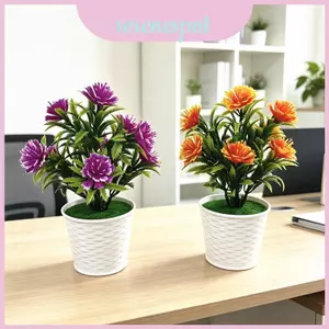 Chậu Hoa Nhựa Có Họa Tiết Mây Cho Phòng Khách Trang Trí Ban Công Và