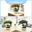 Cây nhân tạo Lily 3d bằng nhựa trang trí để bàn để sắp xếp văn phòng tại nhà và đám cưới