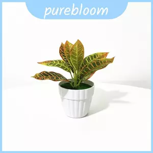 Hộp đựng thực vật để bàn giả Greenery với chất liệu nhựa để trang trí đám cưới và đạo cụ chụp ảnh