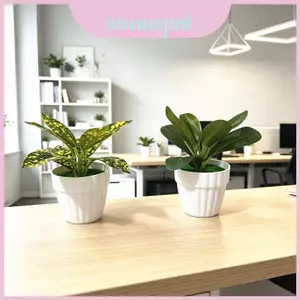 Hộp đựng cây xanh giả để bàn có chất liệu nhựa cho đạo cụ trang trí đám cưới và chụp ảnh