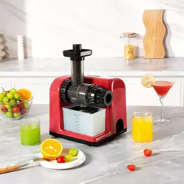 Máy trái cây tốc độ chậm MV10 của Châu Âu và Mỹ, thích hợp để ép rau cần tây, máy làm nước ép, thiết bị chăm sóc sức