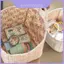 Hoa văn Vines Khối lưu trữ có thể gập lại kiểu Pháp với chất liệu Cotton thoáng khí cho gia đình và văn phòng