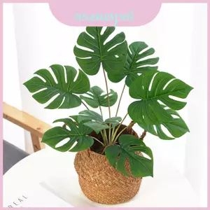 Bảng điều khiển cây xanh nhân tạo treo tường có lá rùa và giỏ trang trí cho không gian trong nhà