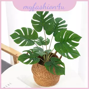 Cây giả tường Greenery có lá rùa và nồi đen để trang trí nội thất tường