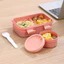 Hộp nhựa Bento hợp thời trang với nhiều ngăn và hộp đựng súp cho bữa trưa hàng ngày