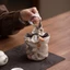 Lưu trữ trang sức Vòng tay quả óc chó di động Master Túi đồ chơi răng miệng Cốc ngoài trời Dây rút Lưu trữ du lịch Túi dây rút Trà
