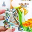 Nhãn dán từ tính bước mười tám đĩa Shandong Taishan