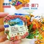 Giấy dán tường hoa Hạ Môn Phúc Kiến Trống Langyu Bay Nhãn dán từ tính