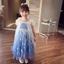 Đầm Công Chúa Frozen Elsa Cho Bé Gái Mùa Hè Trẻ Em Phong Cách Lưới Puff Váy Đầm Bé Gái