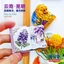 Vân Nam Côn Minh Sách màu tím Jacaranda Nhãn dán từ tính lưu niệm