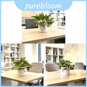 Sắp xếp cây trồng tổng hợp bằng vải hoa để trang trí nội thất trong nhà Nhu cầu chụp ảnh và