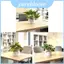 Sắp xếp cây trồng tổng hợp bằng vải hoa để trang trí nội thất trong nhà Nhu cầu chụp ảnh và