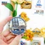 Nhãn dán từ tính của nhà thờ Cologne Đức