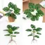 Cây giả tường Greenery có lá rùa và nồi đen để trang trí nội thất tường