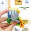 Nhãn dán từ tính lưu niệm Giropo Malaysia