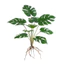 Cây giả tường Greenery có lá rùa và nồi đen để trang trí nội thất tường