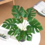 Cây giả tường Greenery có lá rùa và nồi đen để trang trí nội thất tường
