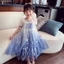 Đầm Công Chúa Frozen Elsa Cho Bé Gái Mùa Hè Trẻ Em Phong Cách Lưới Puff Váy Đầm Bé Gái