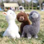 Động vật đầy màu sắc Alpaca sang trọng có khung cho trẻ em Quà tặng và