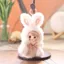 Móc khóa sang trọng đáng yêu cho động vật với vải pha lê cho