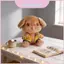 Inugami Korone Đồ Chơi Sang Trọng Dễ Thương Có Polyester Làm Đầy Cho Người Hâm Mộ Và Trang Trí Phòng Khách