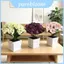 Cây nhân tạo bóng Hydrangea có bề mặt kết cấu để trang trí tiệc tại nhà và ngoài trời