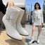 Giày Chelsea Boot Nữ Xuân Thu Mũi Nhọn Mới Giày Mùa Đông Giày Bốt Đơn Mùa Thu Giày Bốt Cổ Ngắn V