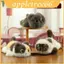Đồ chơi nhồi bông Love Siamese Multi Cat với chất liệu Cotton Pp cho bộ sưu tập trẻ em và