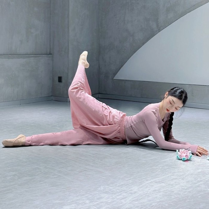 bộ quần áo tập múa cổ điển, bodysuit xuân thu, tay áo kiểu mới, dài tay, áo múa hiện đại cho vũ
