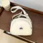Phong Cách Mới ALO Hợp Thời Trang Chống Nước Nhỏ Túi Vuông Phù Hợp Với Du Lịch Thông Thường Một Vai Messenger Di Động Đi Lại Túi Nữ