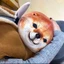 Chó Shiba Inu trừu tượng gói biểu hiện búp bê săn thú nhồi bông ngộ nghĩnh món quà sinh nhật dành c