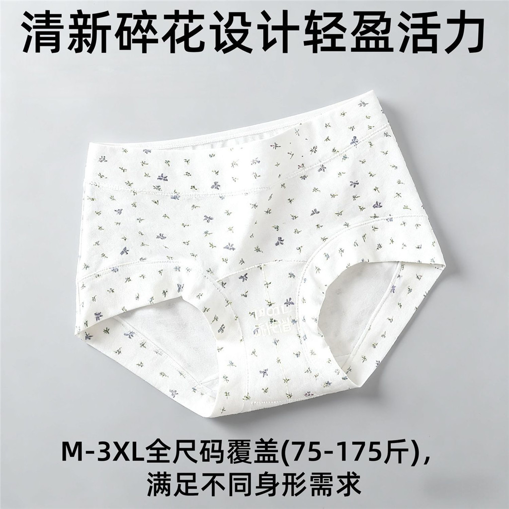 Quần lót nữ cotton kháng khuẩn thấm hút tốt,Quần chíp nơ dễ thương