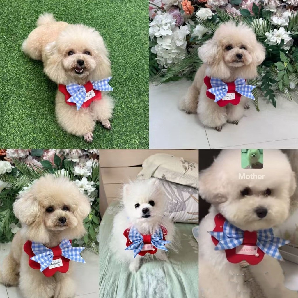 [Pet-Eleven] Khăn nước bọt cánh hoa cho thú cưng Yếm có thể điều chỉnh đàn hồi Yếm thú cưng Yếm mèo Yếm chó Yếm lễ hội Khăn nước bọt cho thú cưng Khăn thủ công cho chó lớn Chó con mèo
