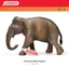 Schleich Mẹ Châu Á Voi 14753 Voi Mô Phỏng Thảo Nguyên Động Vật Hoang Dã Mô Hình Đồ Chơi Trẻ Em